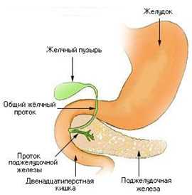 Бульбит: причина заболевания, диагностика и лечение