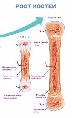 Скачок роста.jpg