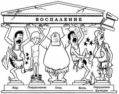 Составляющие воспаления