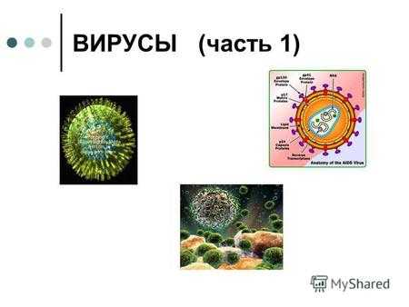 ВИРУСЫ (часть 1). ОСНОВОПОЛОЖНИК ВИРУСОЛОГИИ Д.И. Ивановский.