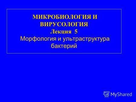 МИКРОБИОЛОГИЯ И ВИРУСОЛОГИЯ Лекция 5 МИКРОБИОЛОГИЯ И ВИРУСОЛОГИЯ Лекция 5 Морфология и ультраструктура бактерий.