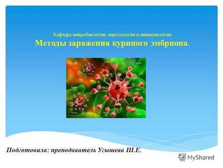 Кафедра микробиологии, вирусологии и ииммунологии Методы заражения куриного эмбриона. Подготовила: преподаватель Угышева Ш.Е.