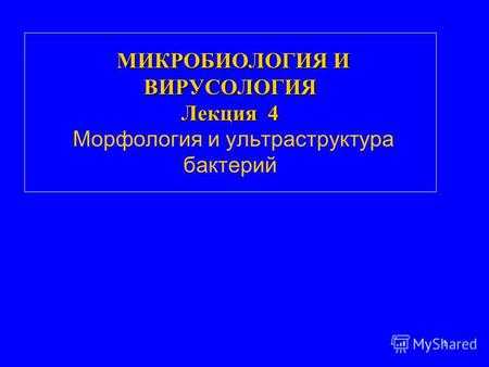 1 МИКРОБИОЛОГИЯ И ВИРУСОЛОГИЯ Лекция 4 МИКРОБИОЛОГИЯ И ВИРУСОЛОГИЯ Лекция 4 Морфология и ультраструктура бактерий.