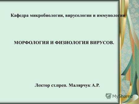 Кафедра микробиологии, вирусологии и иммунологии Лектор cт.преп. Малярчук А.Р. МОРФОЛОГИЯ И ФИЗИОЛОГИЯ ВИРУСОВ.