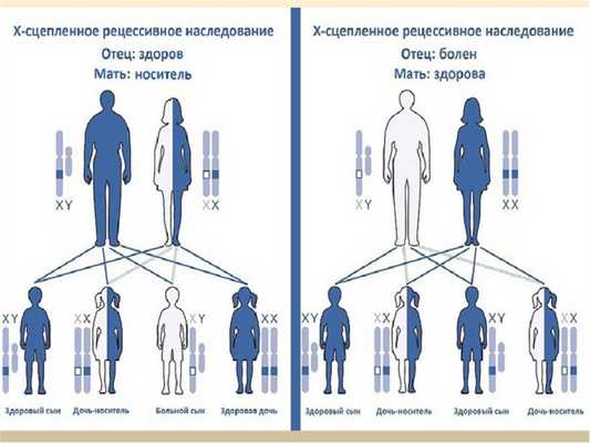 носительство заболеваний по родству