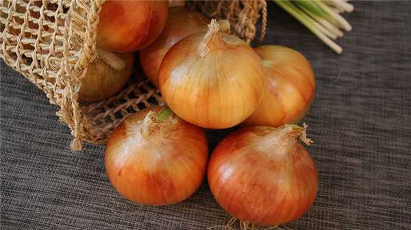 Репчатый лук: польза и вред для здоровья