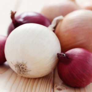 Растение семейства луковые