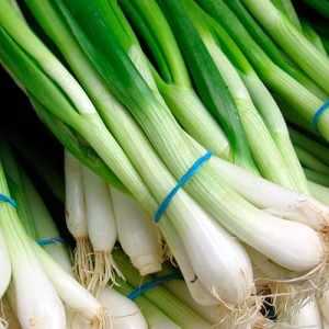 Зеленый лук