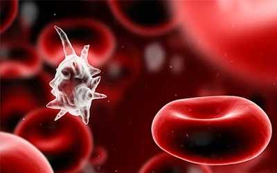 Сепсис - Веримед