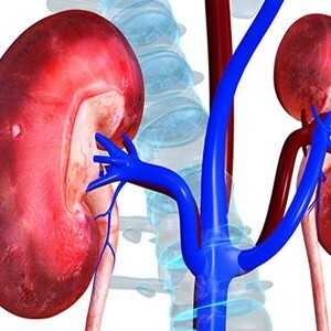 Польза клетчатки