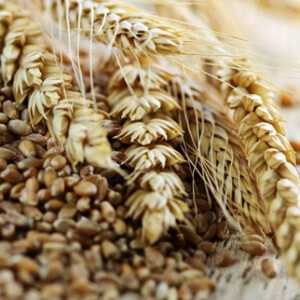 Отруби и клетчатка