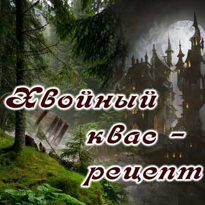 Хвойный квас