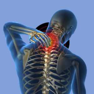 Шейный отдел позвоночника