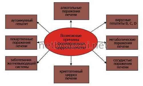 Почему развивается болезнь