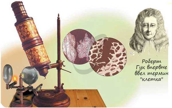 Роберт Гук
