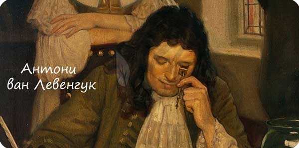 Антони ван Левенгук
