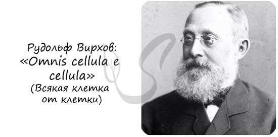 Рудольф Вирхов