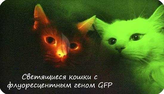 Генная инженерия