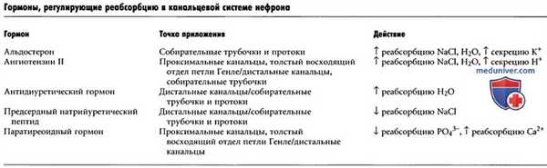 Гуморальная регуляция канальцевой реабсорбции. Альдостерон и ангиотензин II