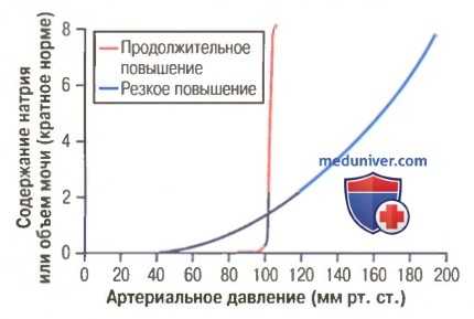Прессорный натрийурез и диурез. Функции прессорного натрийуреза и диуреза