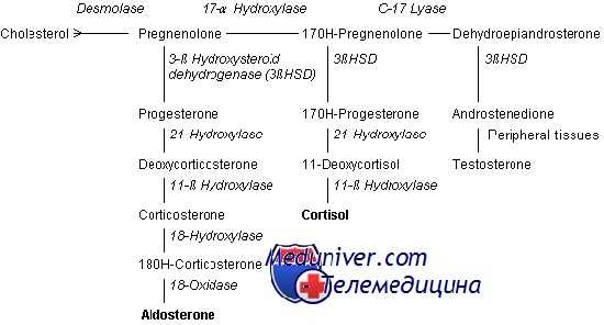 нарушения синтеза андрогенов