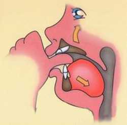 сосание большого пальца