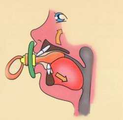 сосание соски