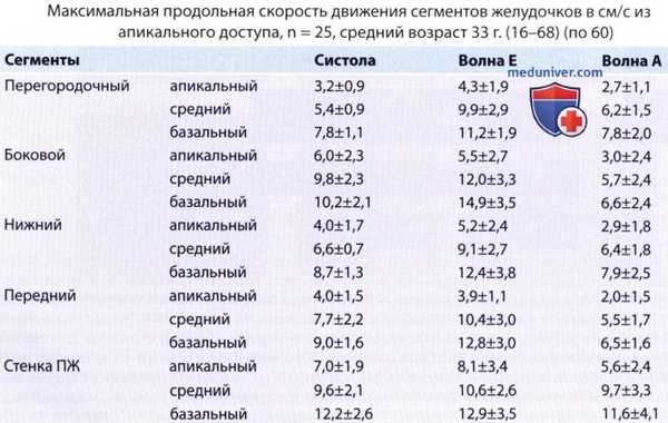 Скорость и движение миокарда