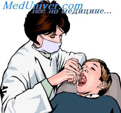 сплетения рашкевича