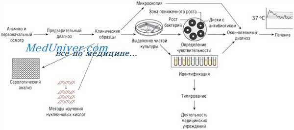 Лабораторные исследования при инфекционных заболеваниях