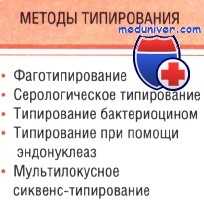 типирование при инфекционных заболеваниях