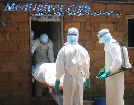 инфекционная болезнь