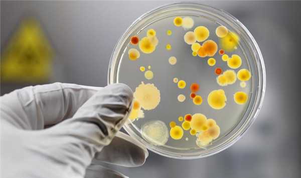 Анализ на микоплазмоз выявляет причину уретритов, выкидышей, воспалений