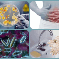 Пути заражения кишечной инфекцией