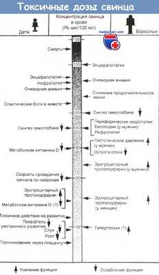 Токсичные дозы свинца для детей и взрослых