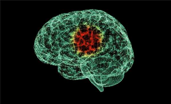 Методы диагностики в нейропсихологии