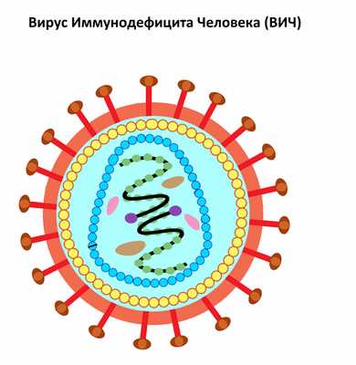 вирус.jpg