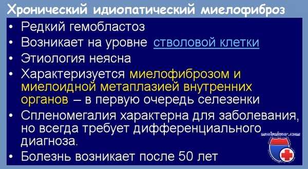 Хронический идиопатический миелофиброз (ХИМФ)
