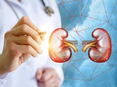 Заболевания почек диагностика картинка