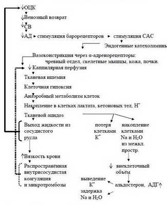 Последовательность изменений в организме при снижении ОЦК