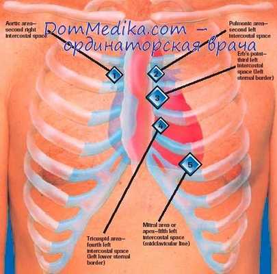 аускультация сердца