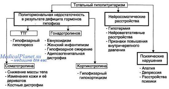 болезнь симондса - тотальный гипопитуитаризм