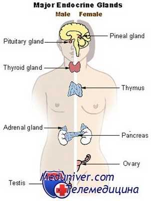 вирилизирующая гиперплазия коры надпочечников