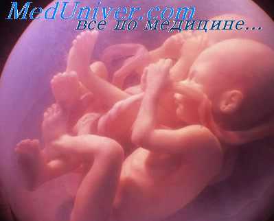 диссоциация в развитии плодов