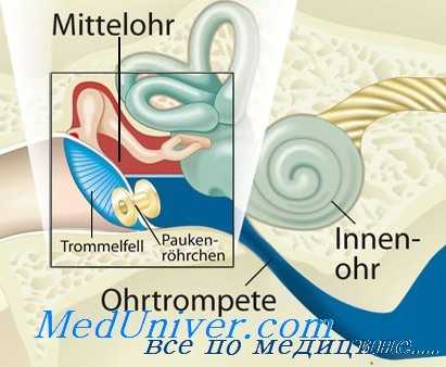 отогенный менингит