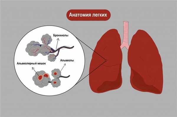 Интерстициальные болезни легких