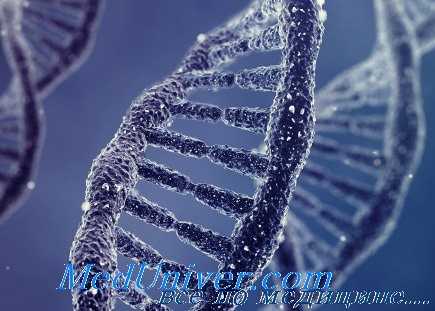 моногенные болезни