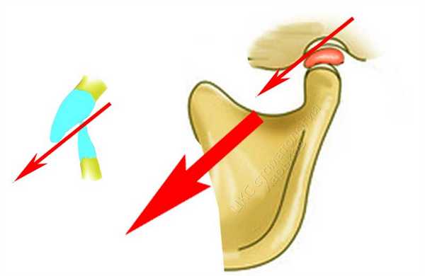 сагиттальный суставной путь