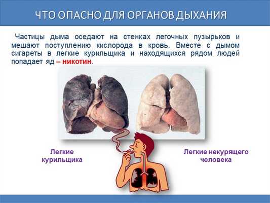 Что опасно для органов дыхания Частицы дыма оседают на стенках легочных пузы. 