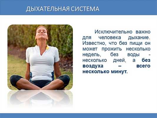 Дыхательная система Исключительно важно для человека дыхание. Извест. 